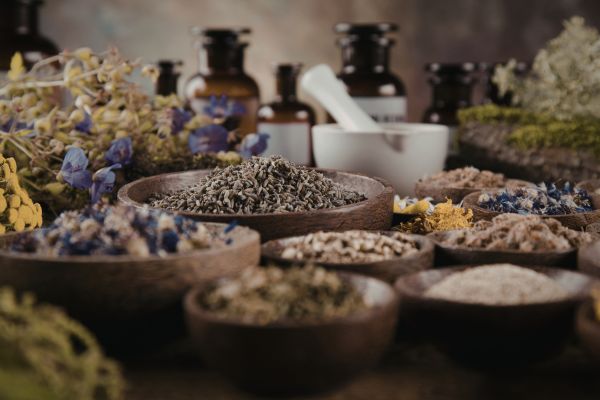 Herbal medicine for weight loss