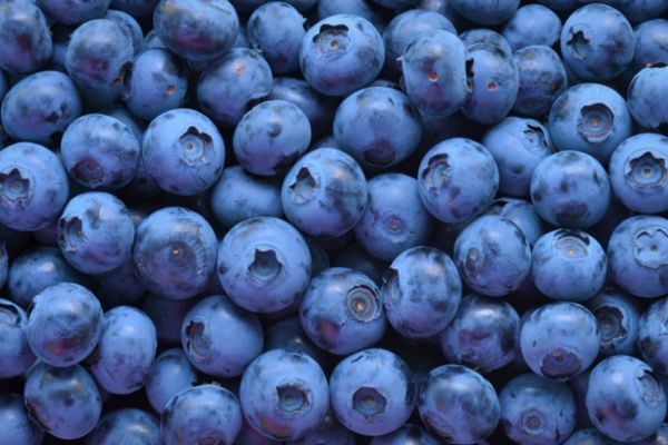 Macros in nutrition