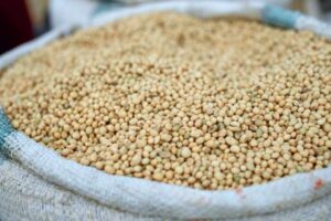 Best Vegan Protein Sources for a Balanced UK Diet